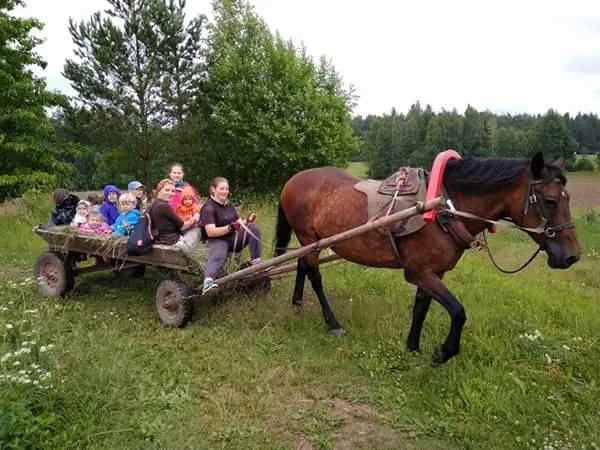 Фото Кемпинг ForestCamp