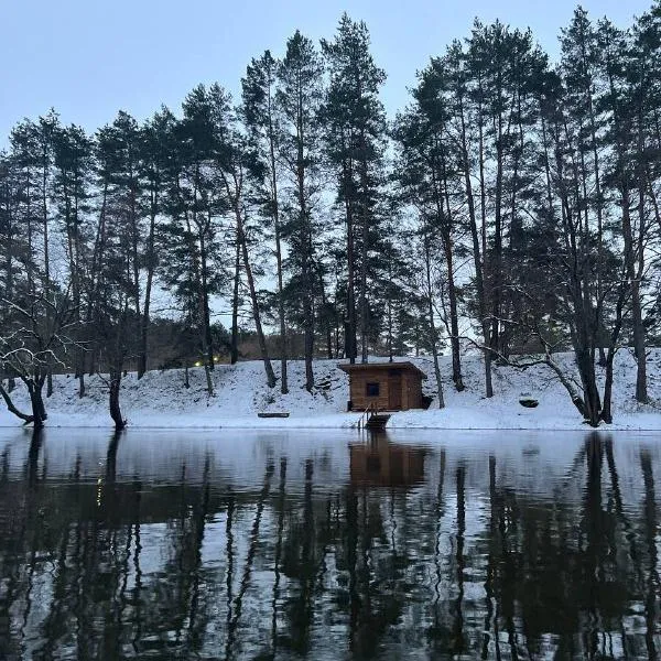 Фото Баня на дровах в загородном комплексе Viliya Park