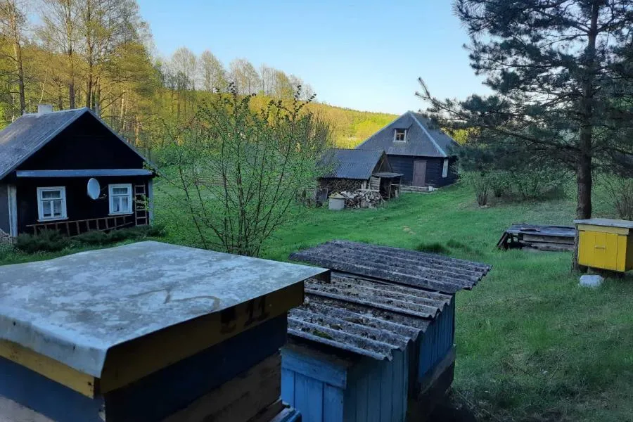 Фото Усадьба Серебряный ручей