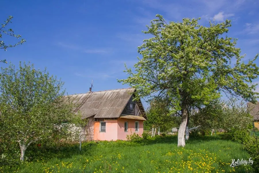 Фото Усадьба Буренка