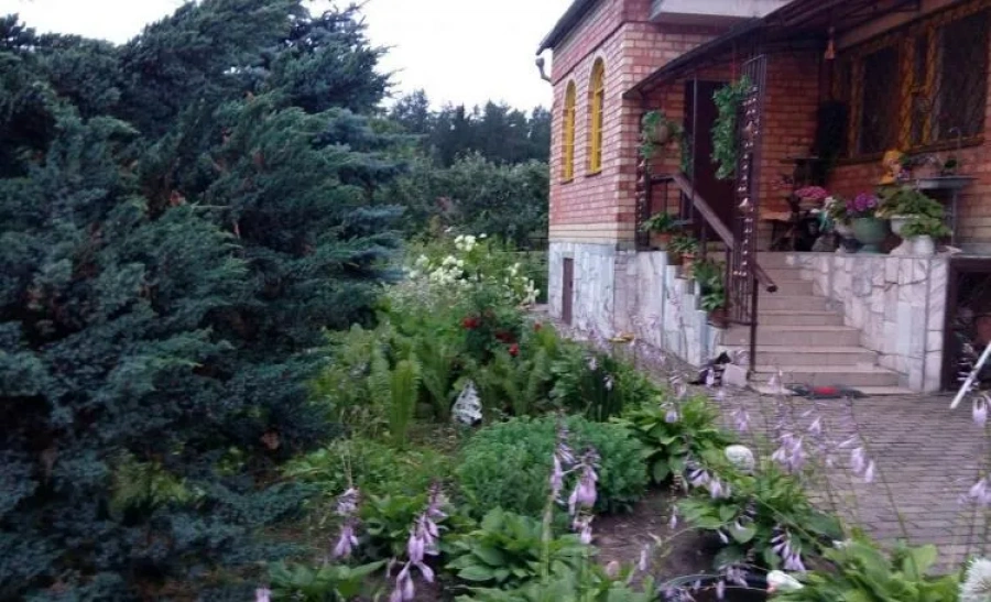 Усадьба У Степаныча