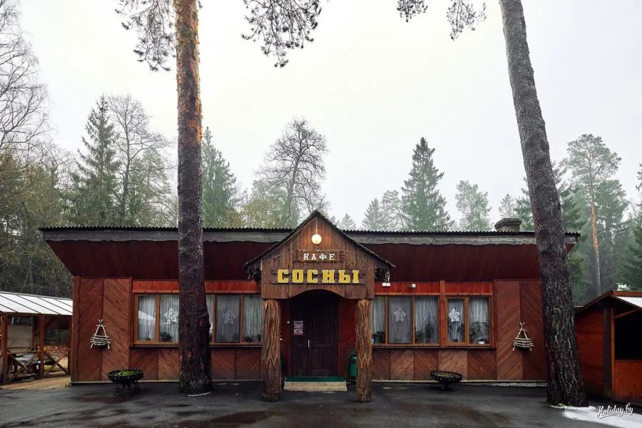 Кафе Сосны