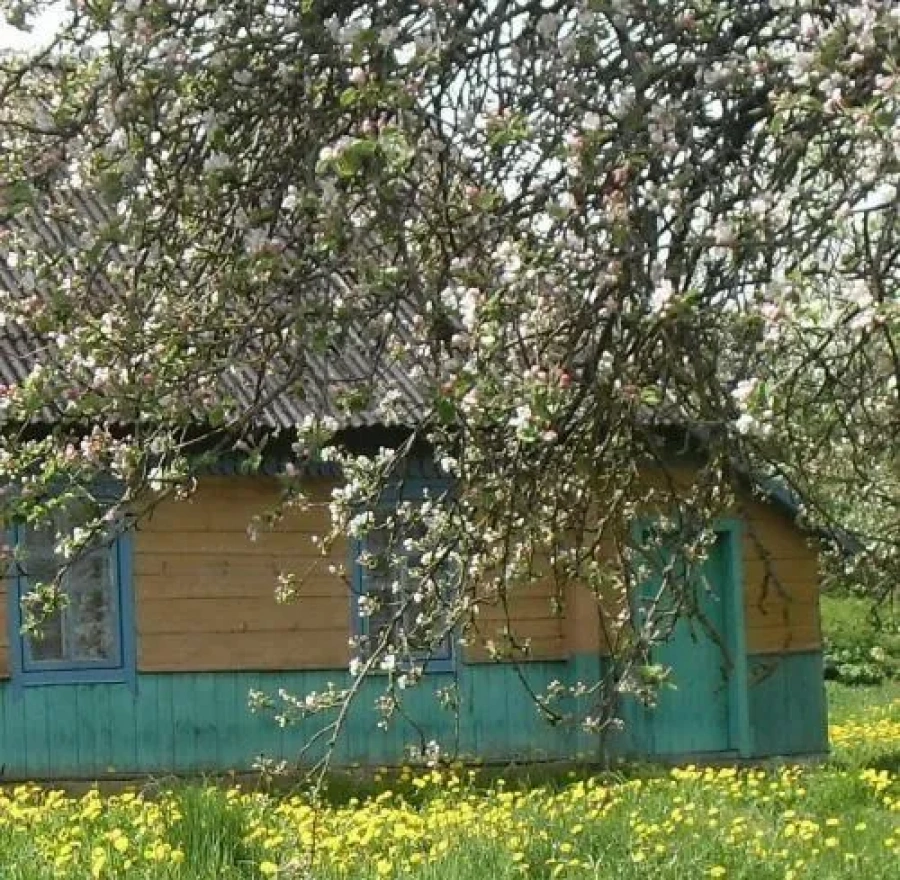 Усадьба Пони Лэнд