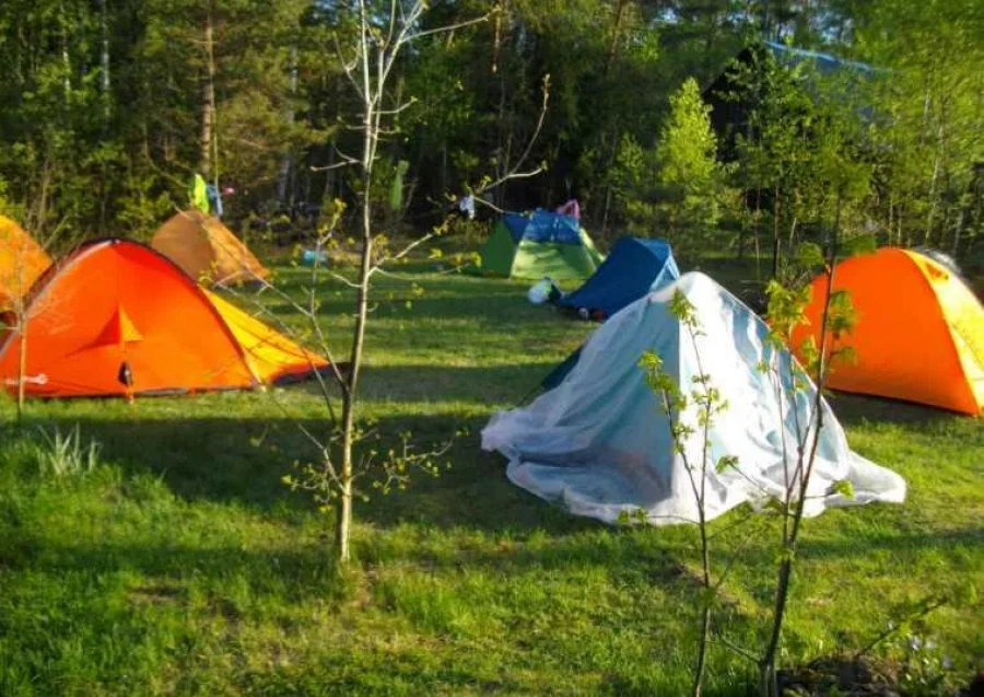 Кемпинг В усадьбе Беловежье
