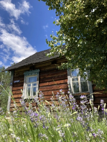 Домик лесника Могилевская область