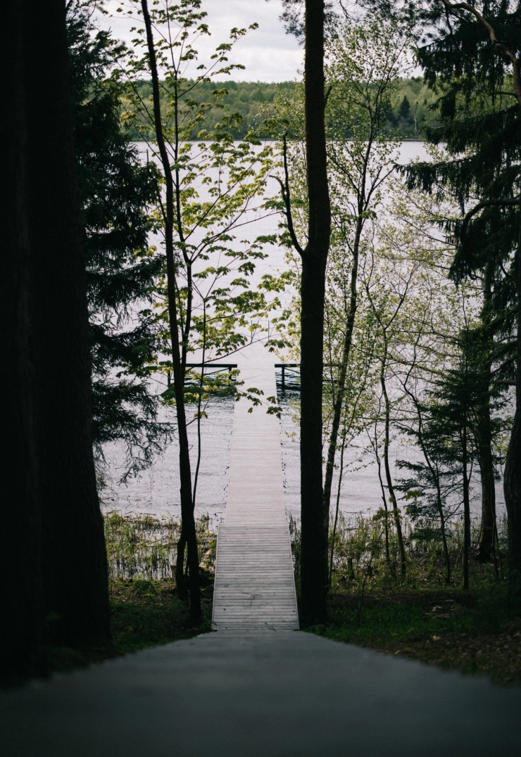 168a262d-b6e5-4ed0-a8bd-b41840af455c.jpg
